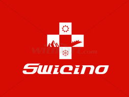 瑞士投資咨詢(xún)公司品牌形象設(shè)計(jì) CI系統(tǒng)在金融行業(yè)中的戰(zhàn)略?xún)r(jià)值